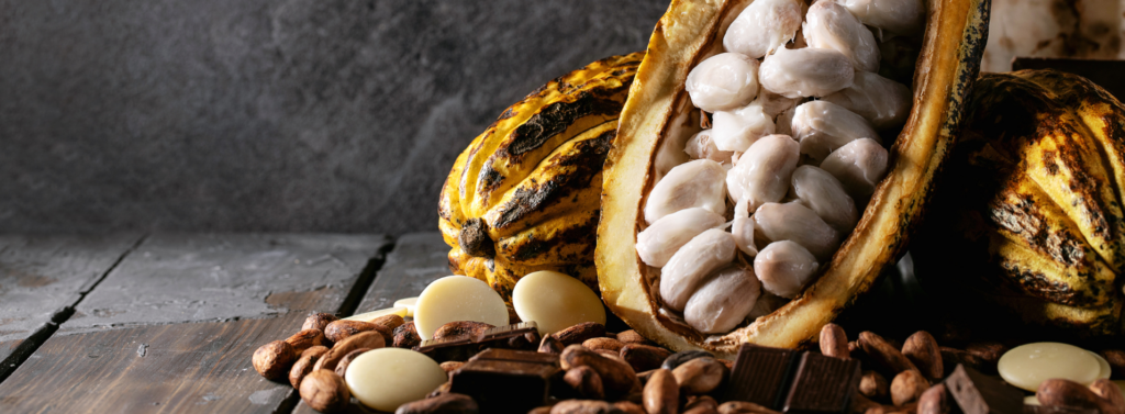 Contents Page featuring cocoa beans, cocoa pods, cocoa nibs