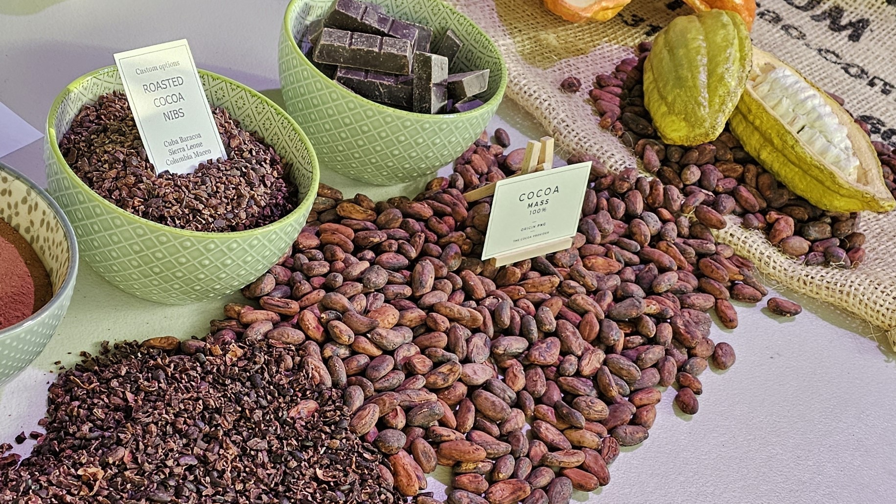 Featuring cocoa beans, cocoa pods, cocoa nibs
