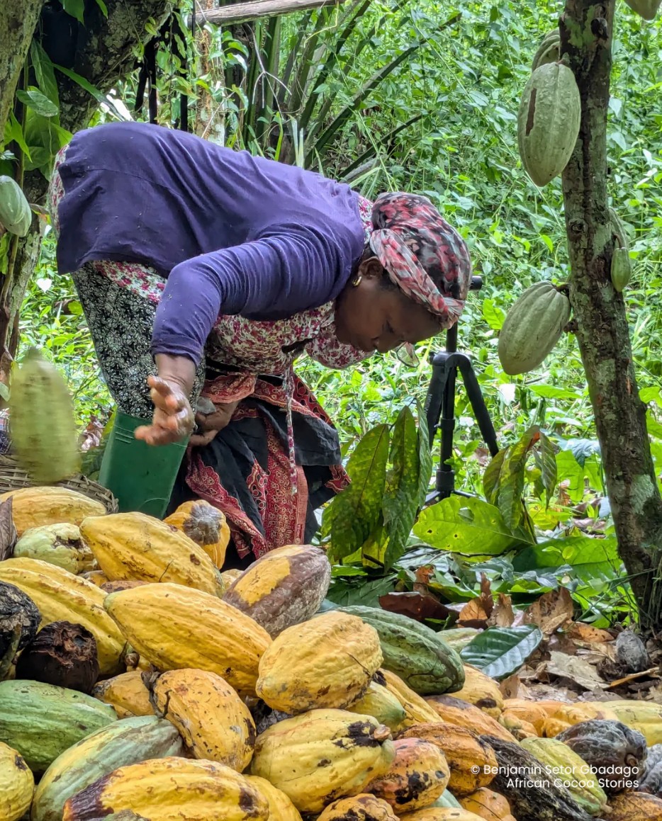 Bringing Cocoa to Life: Storytelling for Chocopreneurs by Benjamin Setor Gbadago – Virtual Event