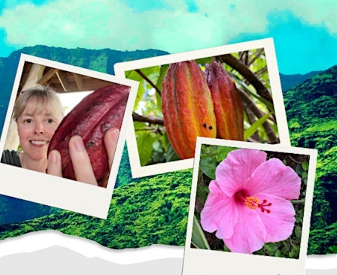 Midwest Chocolate Festival Island Indulgence: A Taste of Hawaiian Chocolate with Opening Chocolate - Indiana, United States