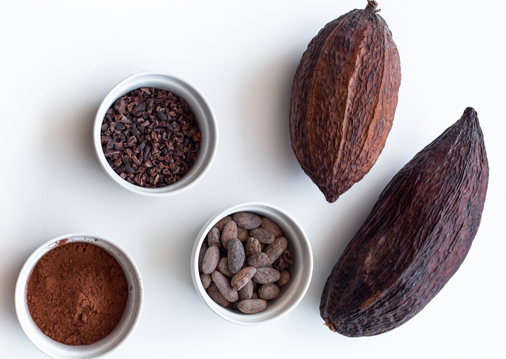 The Chocolate Workshops You Can’t Miss at the Midwest Craft Chocolate Festival 2025