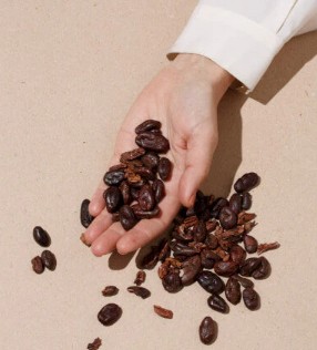 Learn How to Taste Chocolate by Cocoa Store March 2026 - New York, United States