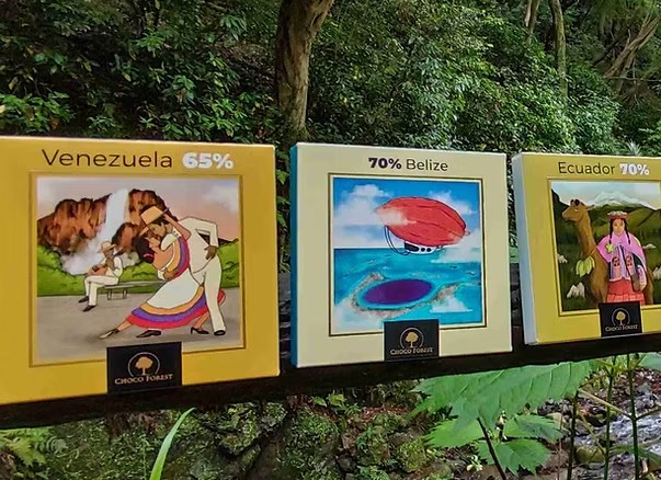 Choco Forest