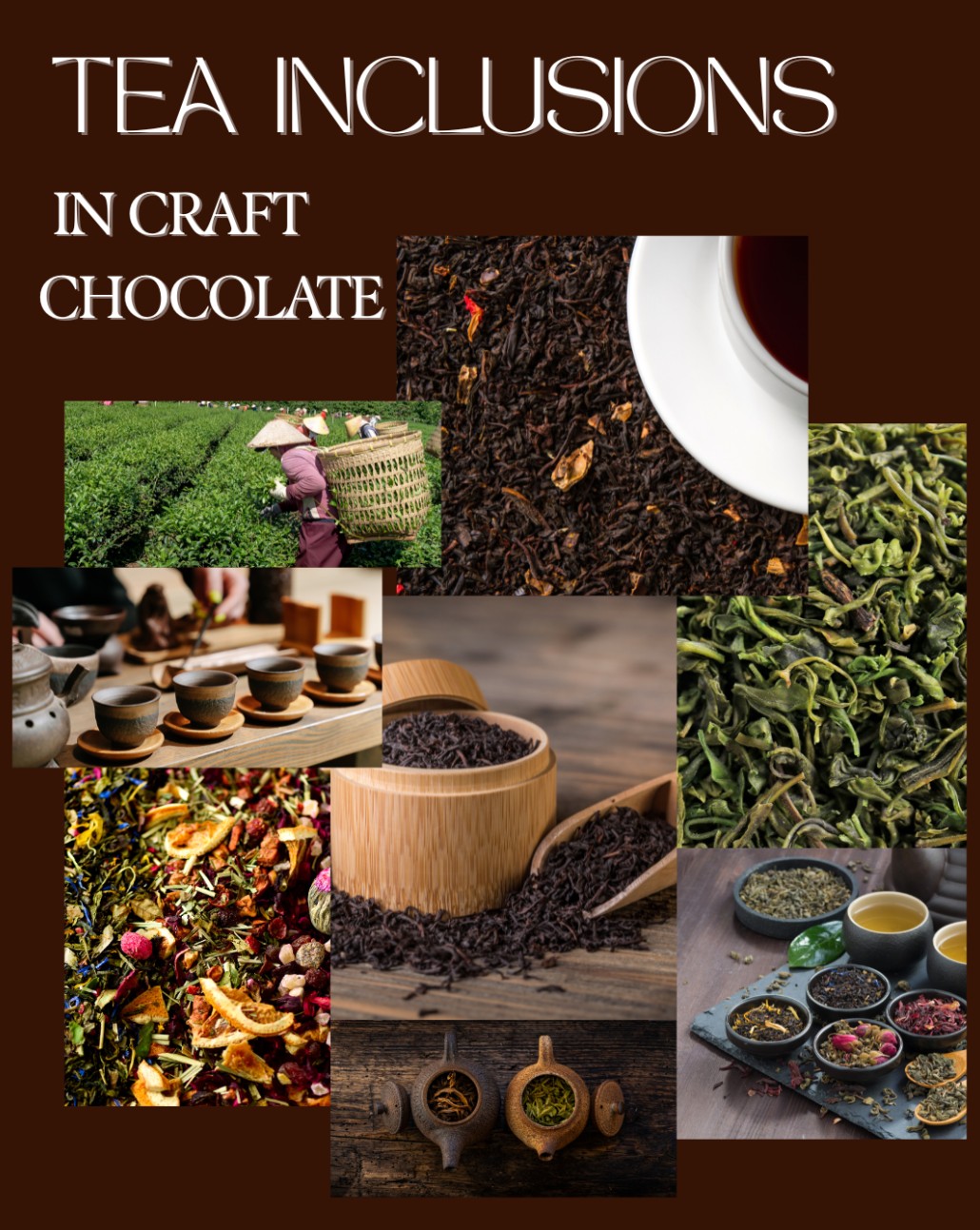 Interesting Inclusions in Chocolate XII: Tasting Tea by Chocolate Monkey May 2026 - Virtual Event (USA Shipping Only)